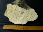 Enlarge photo 14