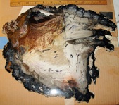 Enlarge photo 21