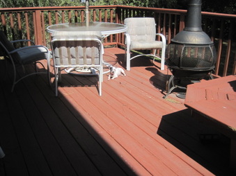 Enlarge photo 27