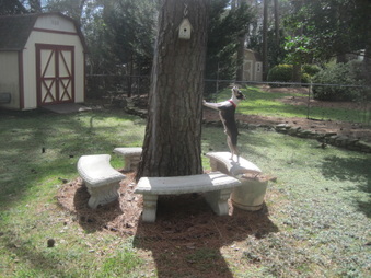 Enlarge photo 7