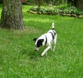 Enlarge photo 7