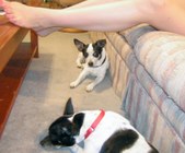 Enlarge photo 11
