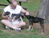 Enlarge photo 16