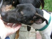 Enlarge photo 12