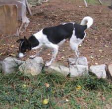 Enlarge photo 6