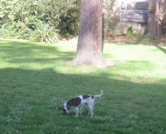 Enlarge photo 11