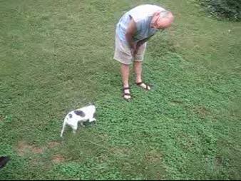 Enlarge WMV 5