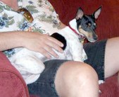 Enlarge photo 6