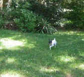 Enlarge photo 10