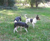 Enlarge photo 6