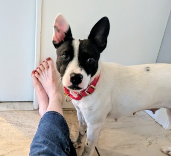 Enlarge photo 11