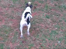 Enlarge WMV 21