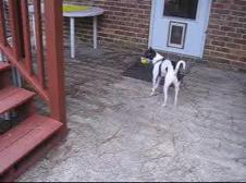 Enlarge WMV 33