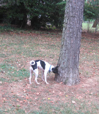 Enlarge photo 7