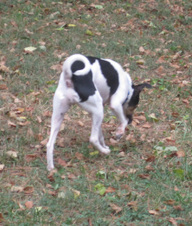 Enlarge photo 10