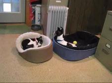Enlarge WMV 22