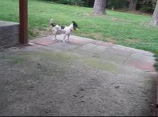 Enlarge WMV 8