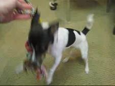 Enlarge WMV 11
