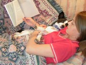 Enlarge photo 9