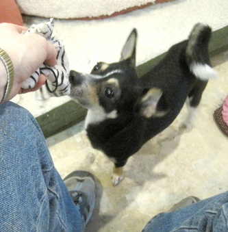 Enlarge photo 5
