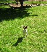 Enlarge photo 10