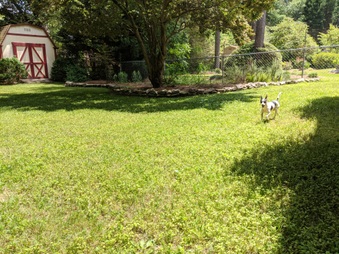 Enlarge photo 5