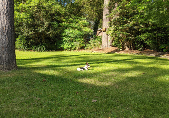Enlarge photo 14