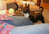 Enlarge photo 3