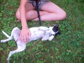 Enlarge photo 6