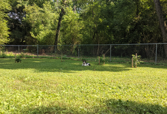 Enlarge photo 4