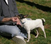 Enlarge photo 6