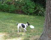 Enlarge photo 6
