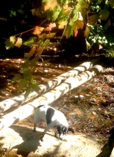 Enlarge photo 14