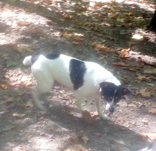 Enlarge photo 19