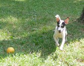 Enlarge photo 3