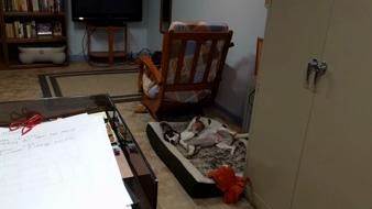 Enlarge MPEG4 8