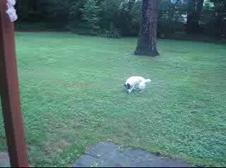 Enlarge WMV 10