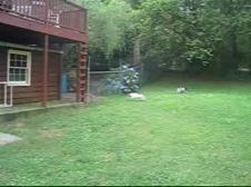 Enlarge WMV 16