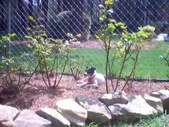 Enlarge photo 5
