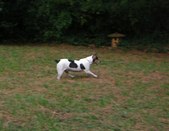 Enlarge photo 4