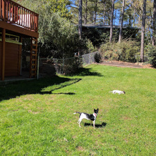 Enlarge photo 15