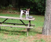 Enlarge photo 2