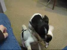 Enlarge WMV 23