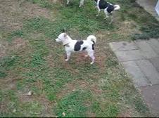 Enlarge WMV 12