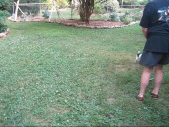 Enlarge WMV 8