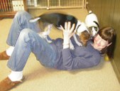 Enlarge photo 7