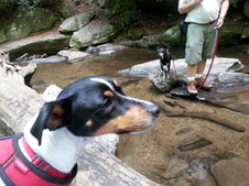 Enlarge photo 7