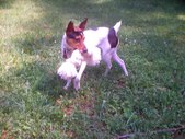 Enlarge photo 4
