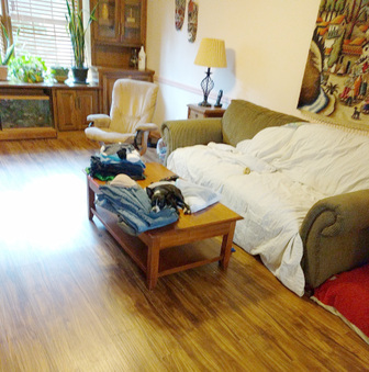 Enlarge photo 12