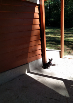 Enlarge photo 8